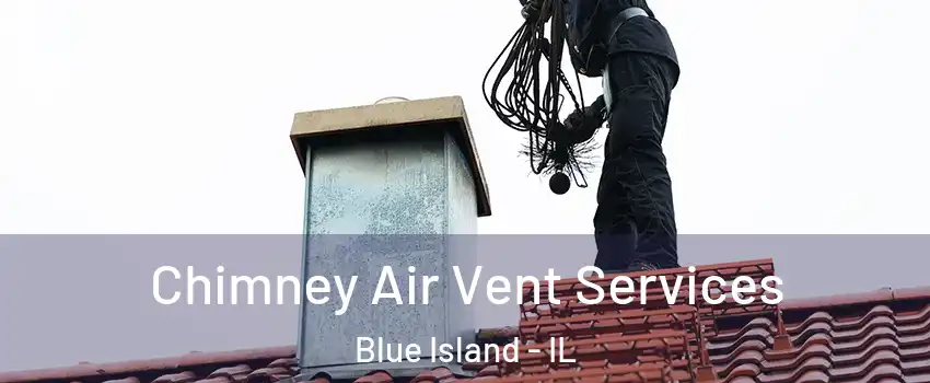 Chimney Air Vent Services Blue Island - IL