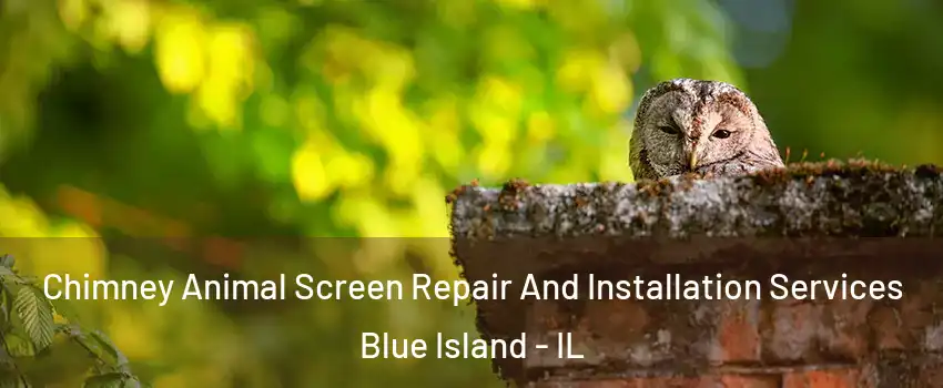  Chimney Animal Screen Repair And Installation Services Blue Island - IL