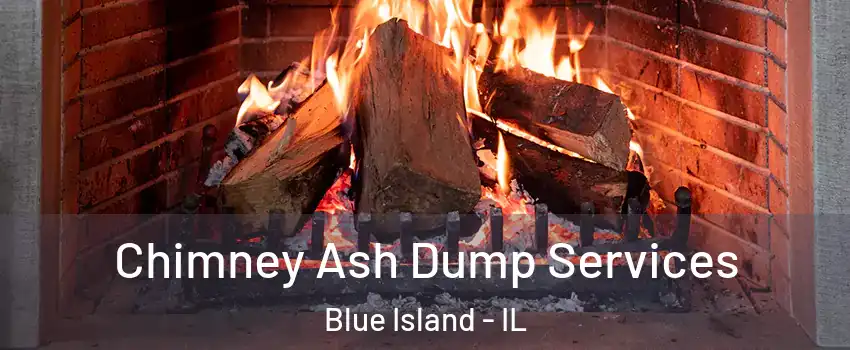  Chimney Ash Dump Services Blue Island - IL