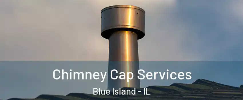  Chimney Cap Services Blue Island - IL