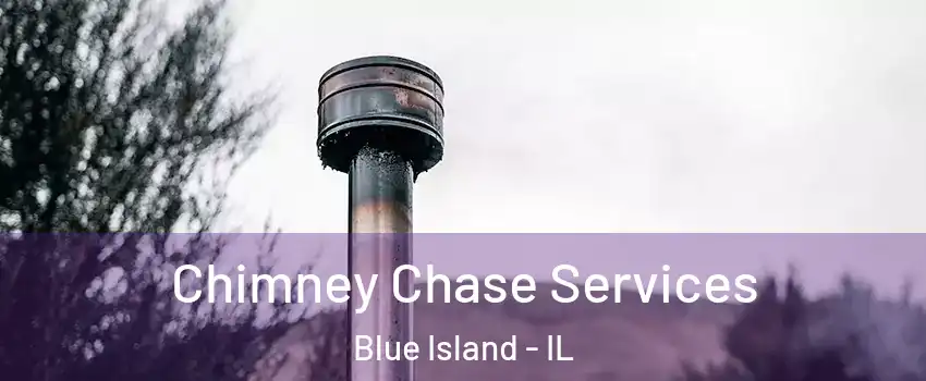  Chimney Chase Services Blue Island - IL