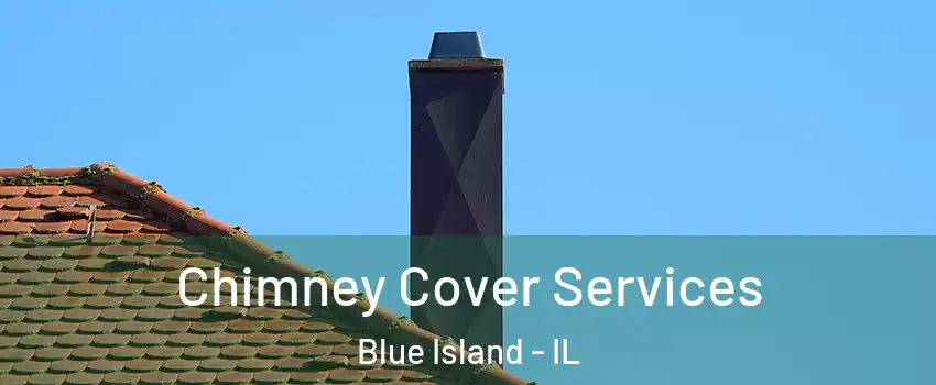  Chimney Cover Services Blue Island - IL