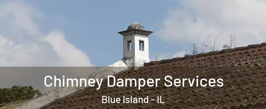  Chimney Damper Services Blue Island - IL