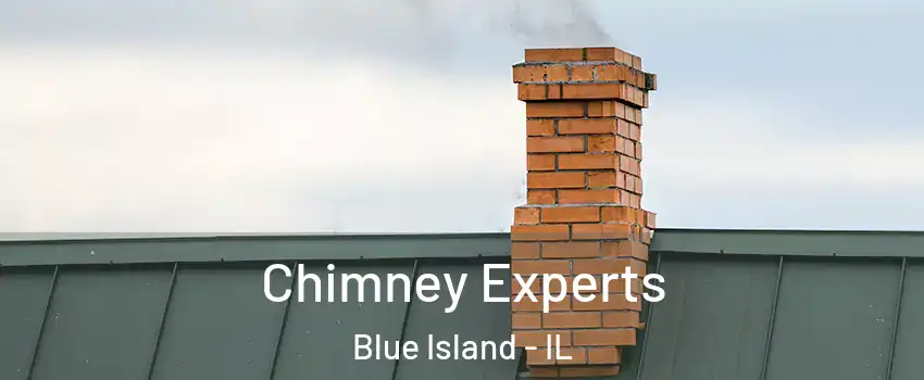  Chimney Experts Blue Island - IL
