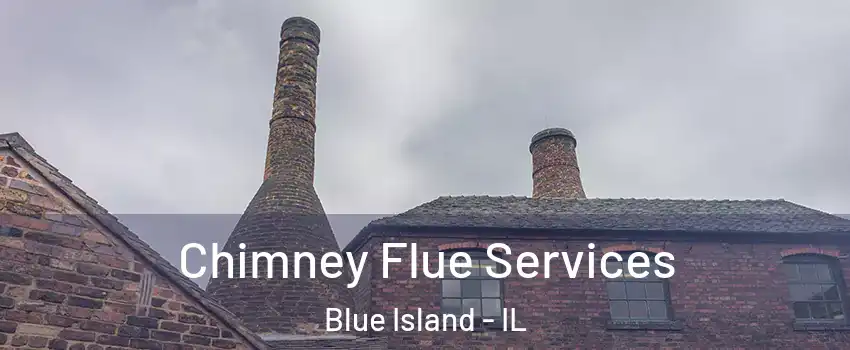  Chimney Flue Services Blue Island - IL