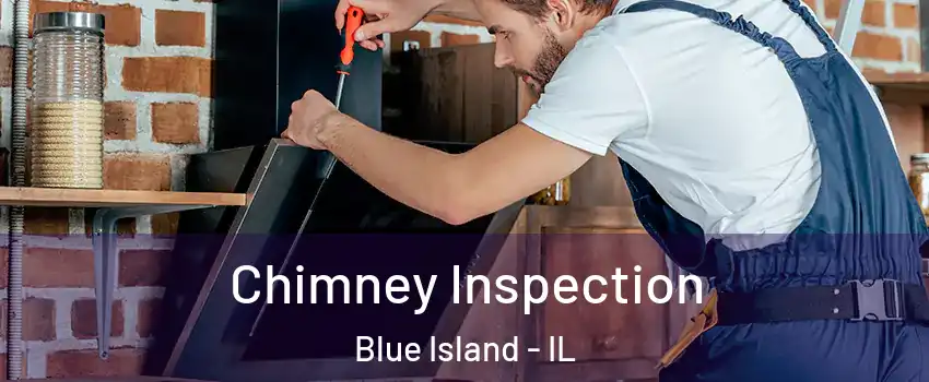  Chimney Inspection Blue Island - IL