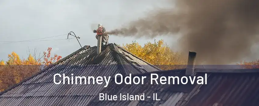 Chimney Odor Removal Blue Island - IL