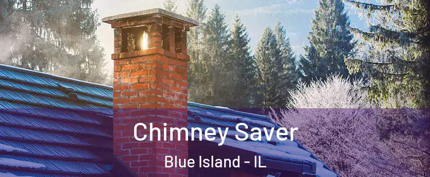  Chimney Saver Blue Island - IL