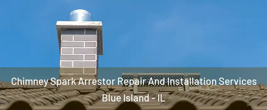 Chimney Spark Arrestor Repair And Installation Services Blue Island - IL