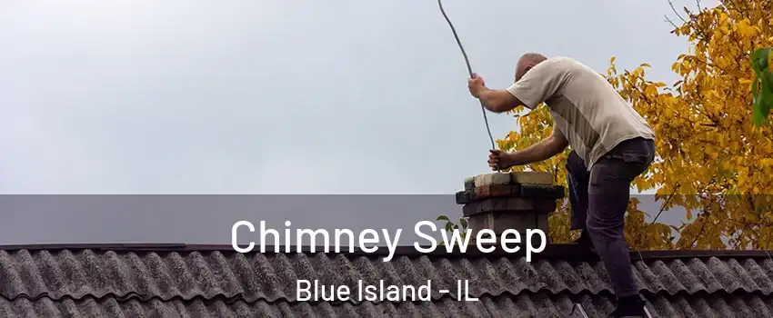  Chimney Sweep Blue Island - IL