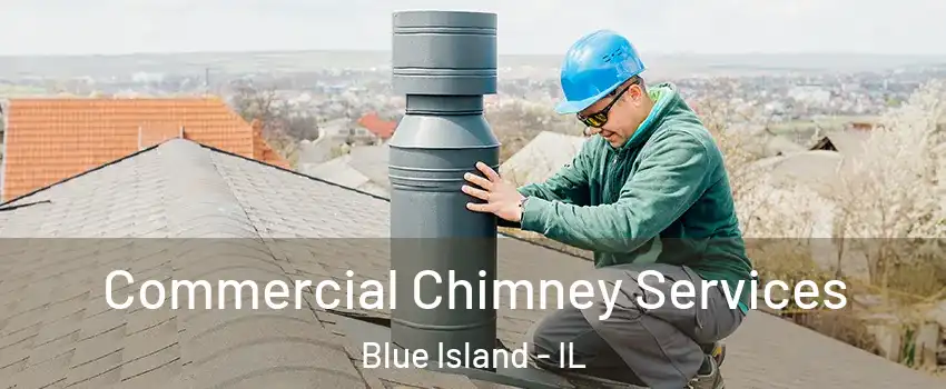  Commercial Chimney Services Blue Island - IL