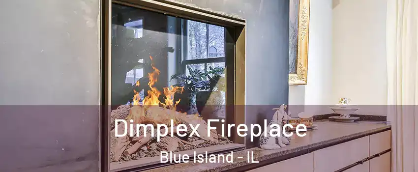  Dimplex Fireplace Blue Island - IL