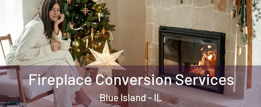  Fireplace Conversion Services Blue Island - IL