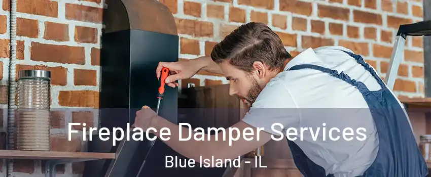  Fireplace Damper Services Blue Island - IL