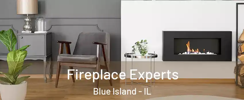  Fireplace Experts Blue Island - IL