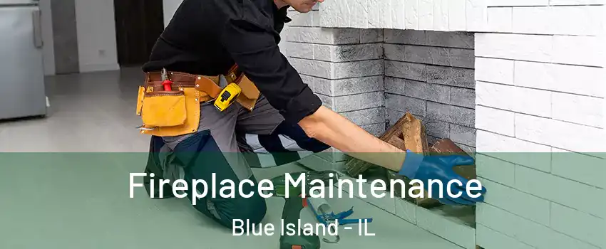  Fireplace Maintenance Blue Island - IL