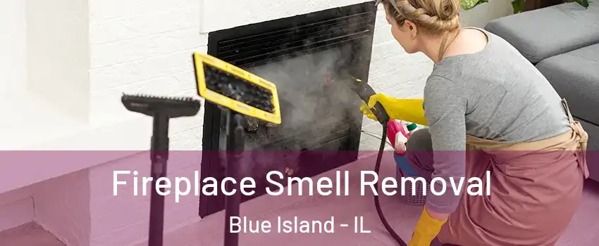  Fireplace Smell Removal Blue Island - IL