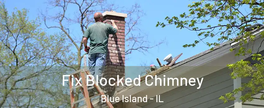  Fix Blocked Chimney Blue Island - IL