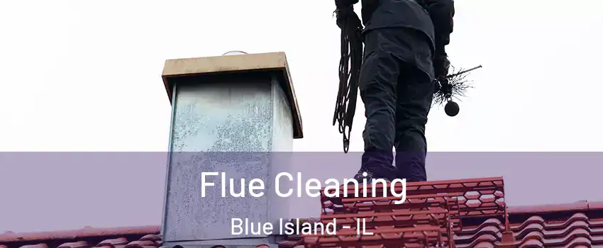 Flue Cleaning Blue Island - IL