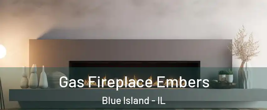  Gas Fireplace Embers Blue Island - IL