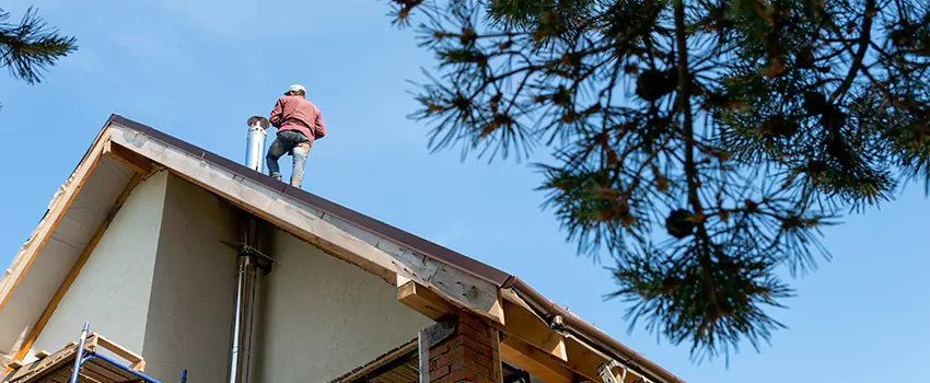 Birds Removal Contractors from Chimney in Blue Island, IL