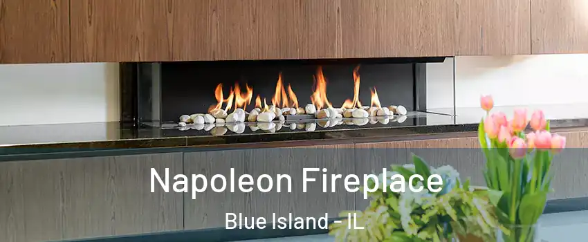 Napoleon Fireplace Blue Island - IL