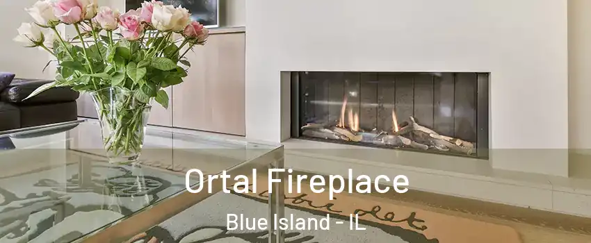  Ortal Fireplace Blue Island - IL